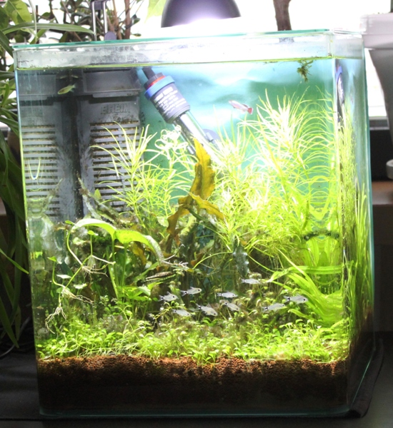 35-liter tank – MINI.JPG