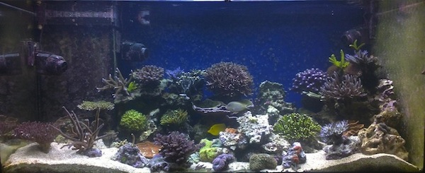 FTS