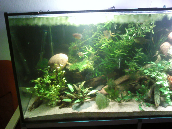 530l_010112_3.jpg