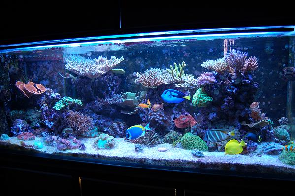 Vuoden vanha allas.jpg