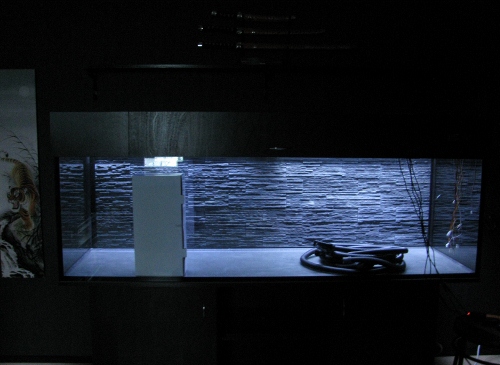 030 (500x365).jpg