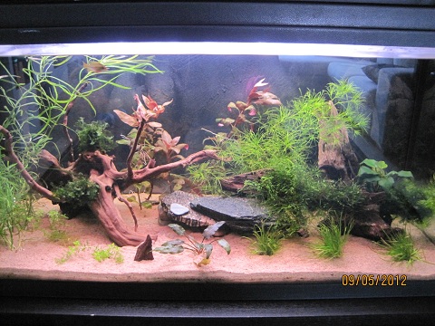 110l
