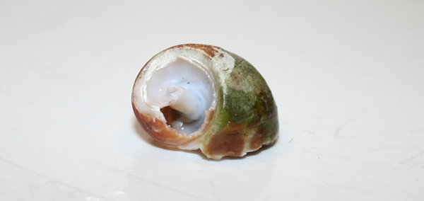 Tapettu Babylonia_1.JPG