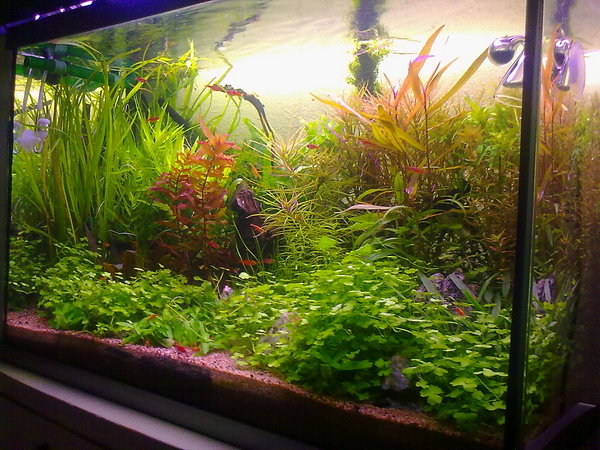 090620121133.jpg