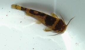 IMG_20120725_143018-1.jpg