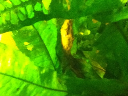 noita parempia ottaessa saattaa mennä jonkin aikaa