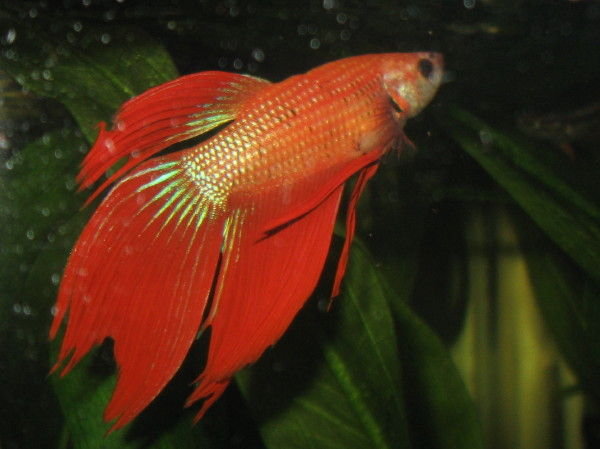 img1973377.jpg