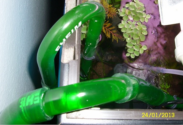 002.JPG