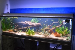 ALLAS 200*55*55cm :)