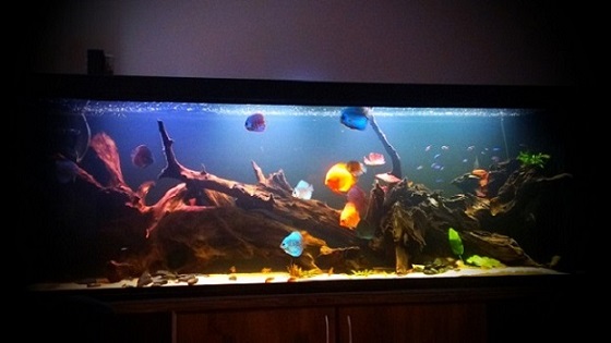 IMAG0183.jpg