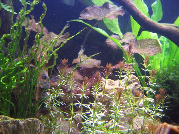 "oon saletisti porukan timmein mimmi!"