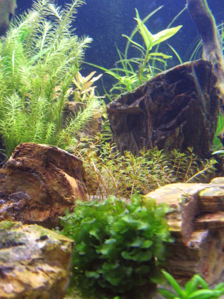 "Hei, apua, nää kivijutut on piirittäny mut"