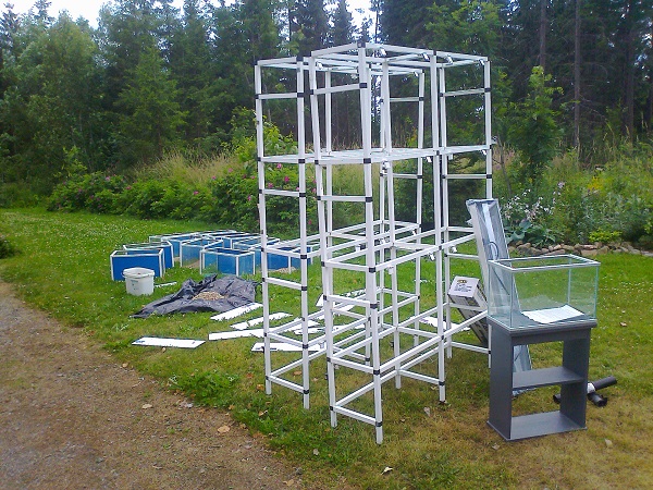 Koko päivän saalis.