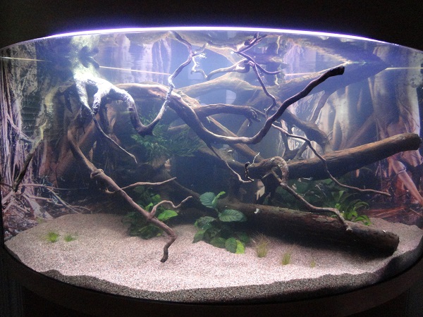 400l.jpg