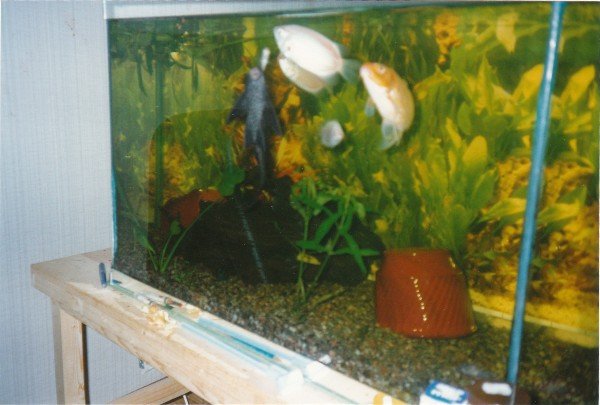 kuva 90-luvun alkupuolelta