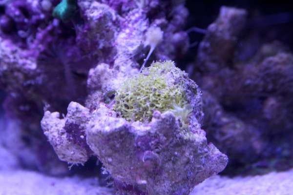IMG_6060-_400.jpg