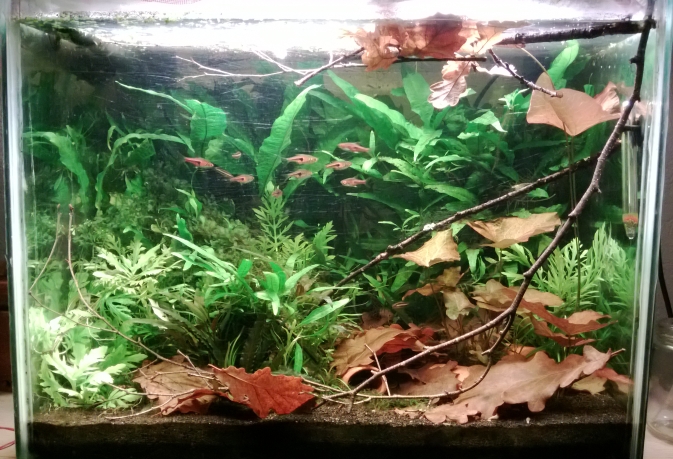 80ltr.jpg