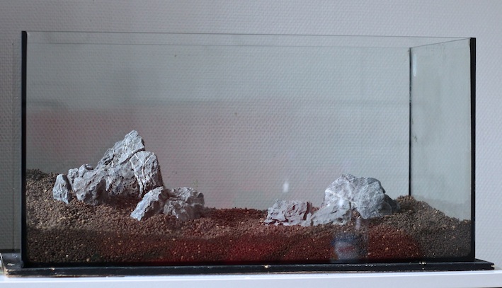 ADA AquaSoil Malaya & Seiryu kivet