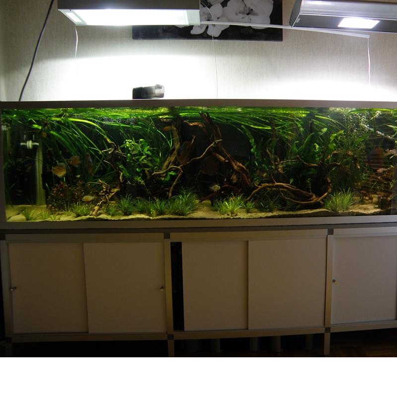 500l.jpg