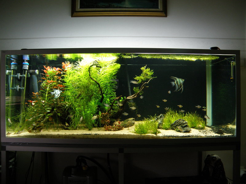 300l.jpg