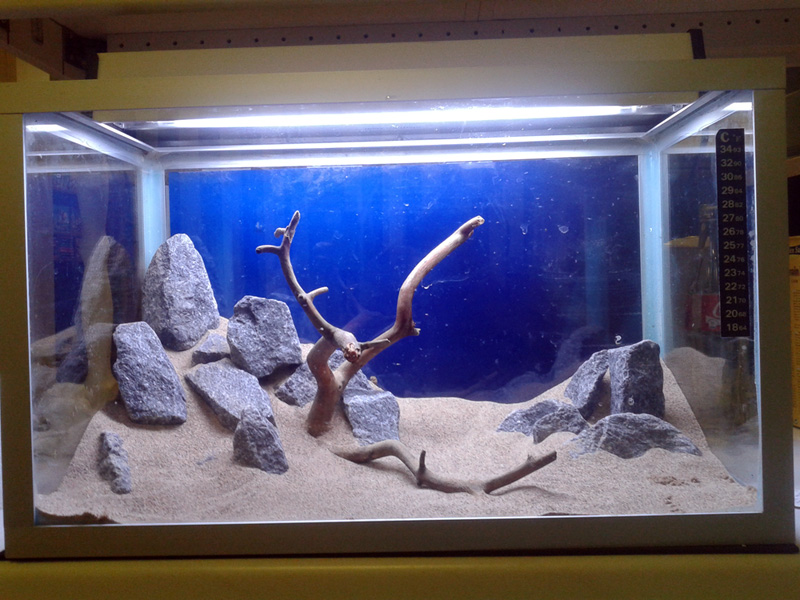 20131031_190605.jpg