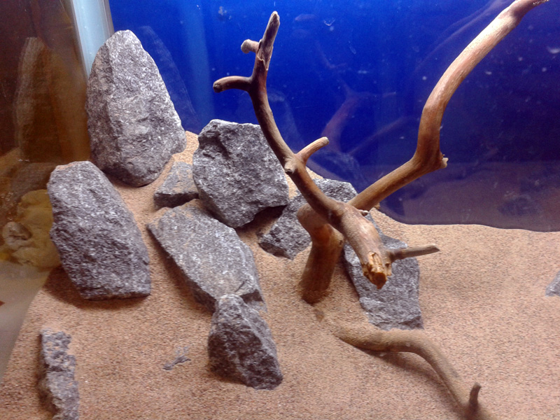 20131031_190658.jpg