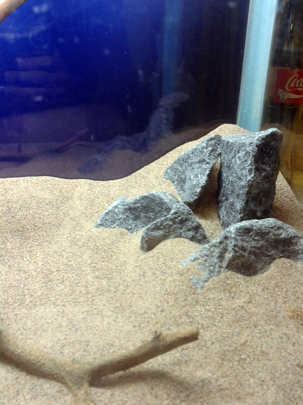 20131031_190713.jpg