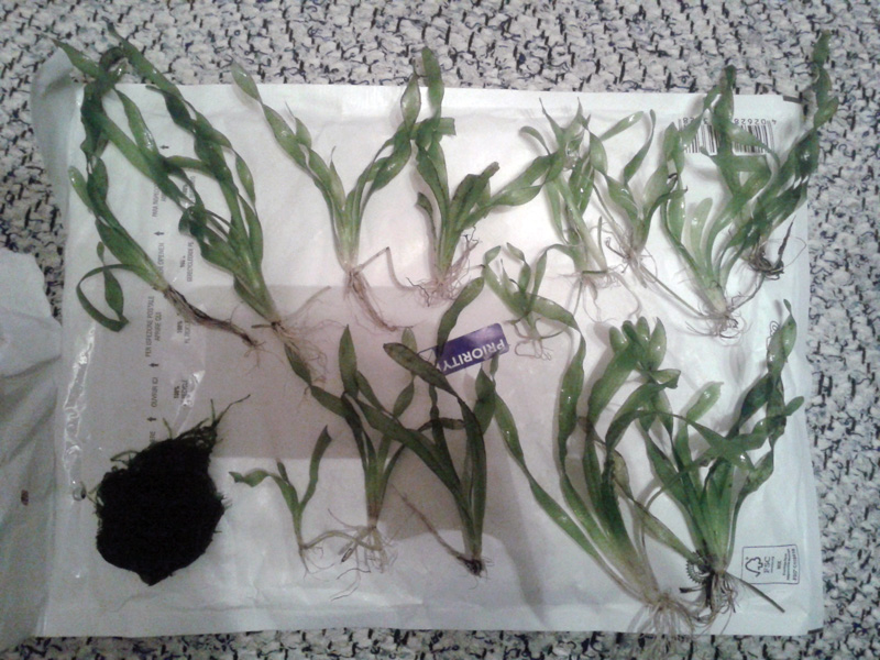 20131106_160511.jpg