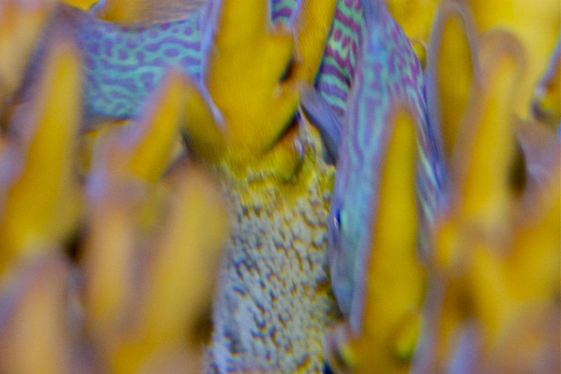 IMG_5675.jpg
