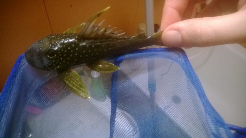 WP_20131217_002.jpg