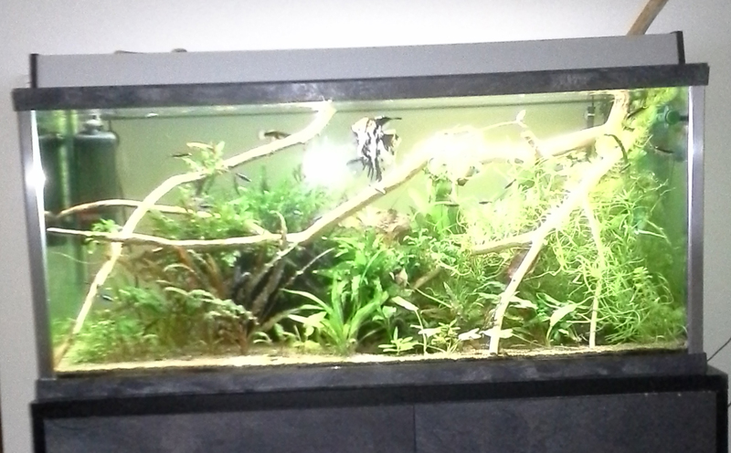 20140106_174056.jpg