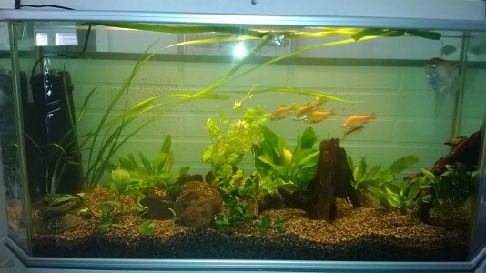 WP_20140427_010muok.jpg