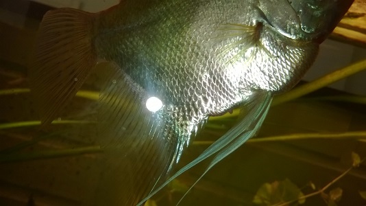 WP_20140427_027muok.jpg