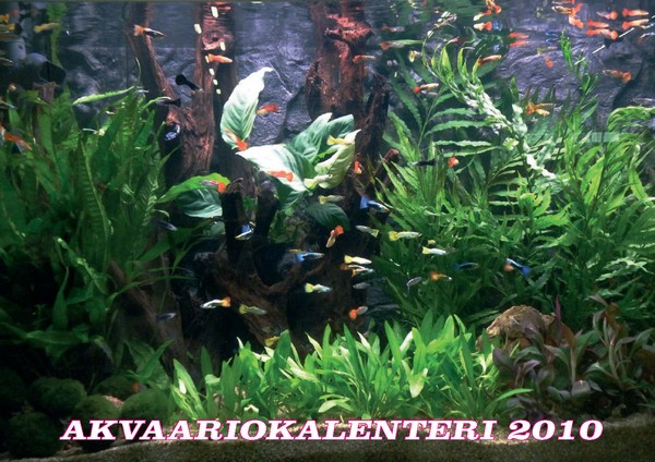 kansi2iso_0905_546.jpg