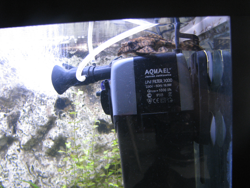IMG_8545.JPG