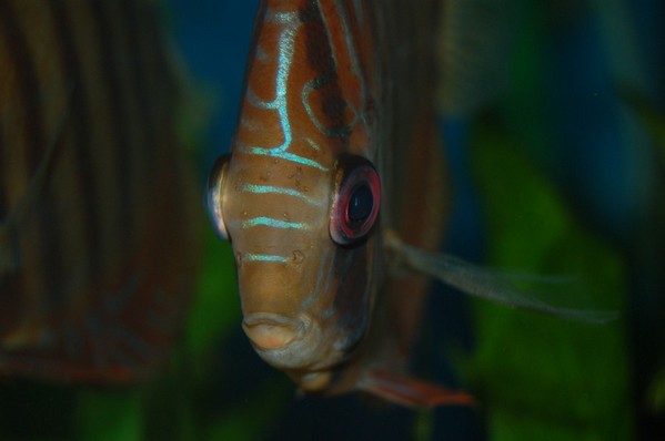 DSC_5386.JPG