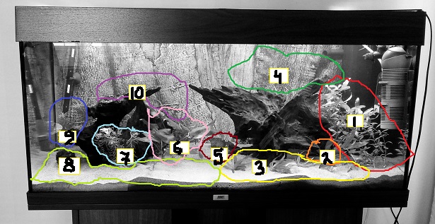 20140911_115335.jpg