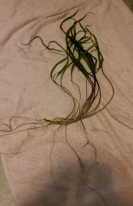 20140913_194230.jpg