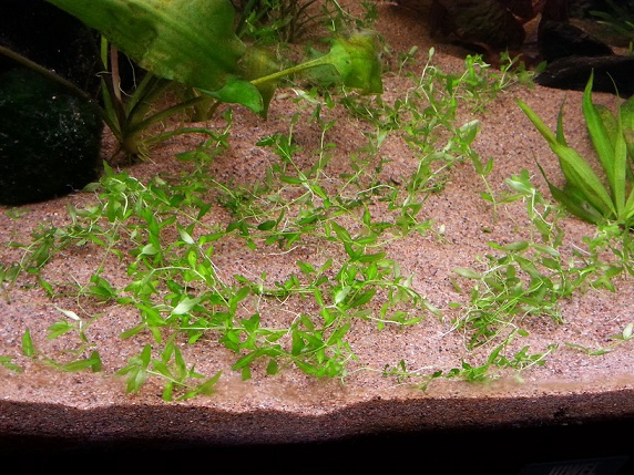 20140918_114031.jpg