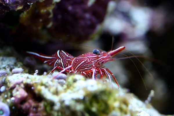 IMG_5815.jpg