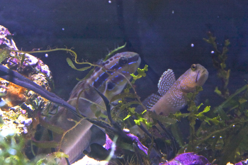 IMG_7726.jpg (654.43 KiB) Katsottu 3420 kertaa Boyz 'N The Hood