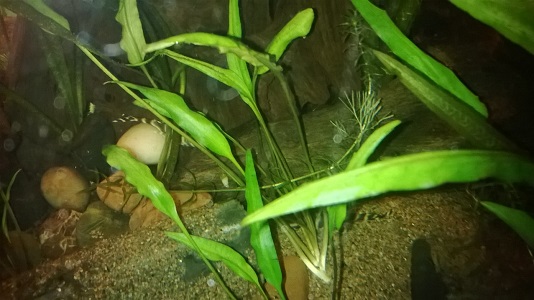 WP_20150105_006m.jpg
