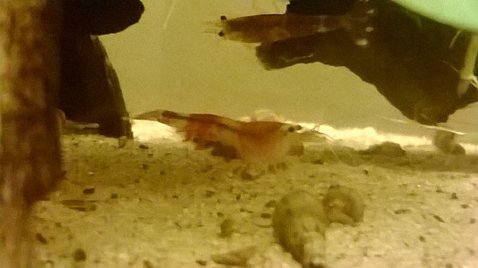 WP_20150211_017m.jpg