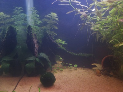 100 l pieni kanto.jpg