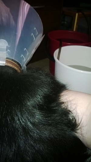 tötteröpäinen työnjohto