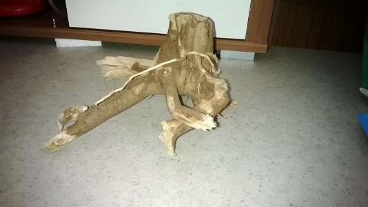 WP_20150419_132m.jpg