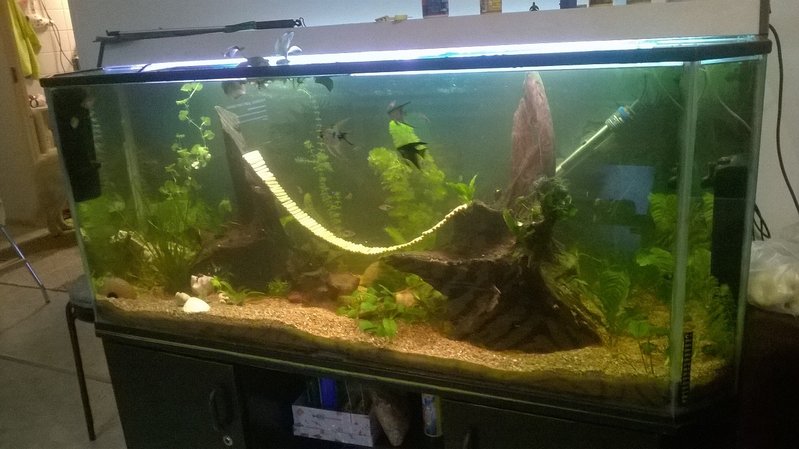 Sillan laitoin nyt paikalleen ihan vain sellaiseen kohtaan, johon se oli helppo ripustaa. Myöhemmin voisi sitten suunnitella jotain paremman näköistä kiinnitystä.