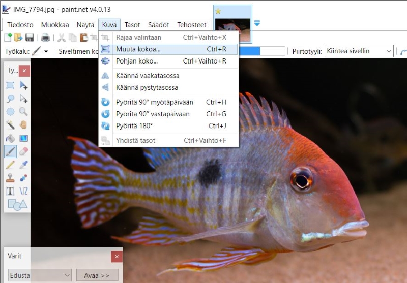 Paint.NET muuta kokoa.jpg