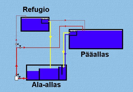 3_altaan_jarjestelma.jpg