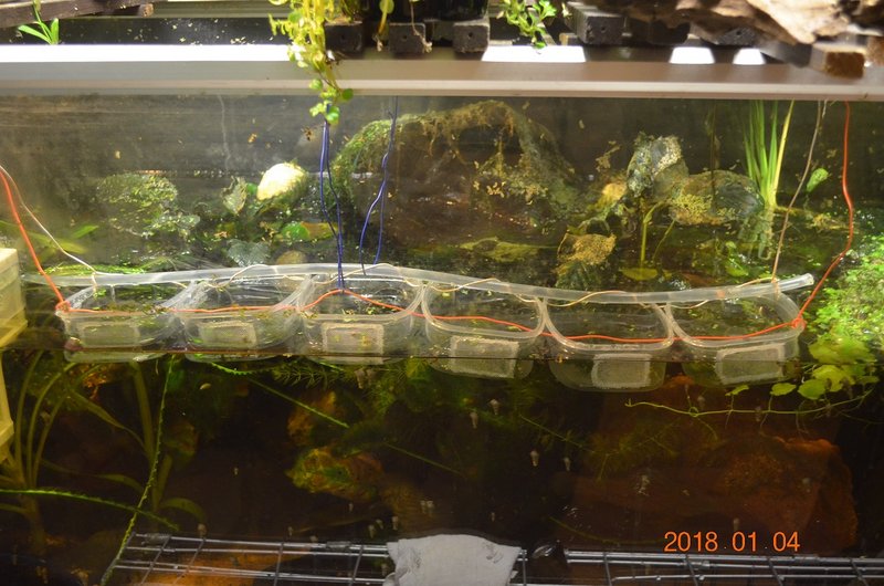 DSC_0850.JPG (398.26 KiB) Katsottu 14450 kertaa Rivi "lastenhuoneita".